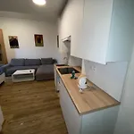 Garsoniera - Centrum U Jiraskova Namesti Apartament *