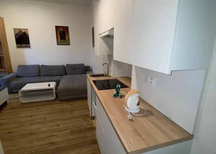 Garsoniéra Ostrava City centr, Na Hradbách 118 Appartamento *