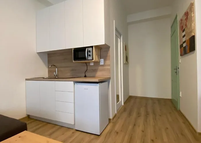 Appartamento Garsoniéra Ostrava City centr, Na Hradbách 118 Ostrava
