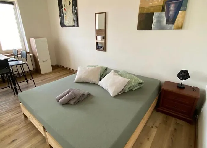 Garsoniéra Ostrava City centr, Na Hradbách 118 Appartamento *
